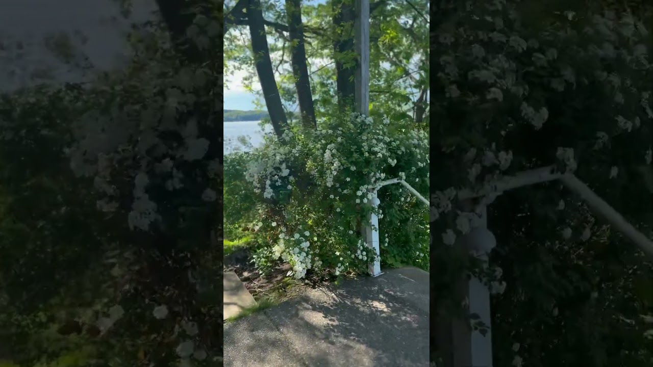 Lake Geneva Trail Bliss 