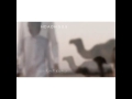 شيله عزي لقلب لده الود شيله عزي لقلب لده الود