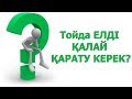 Тойда ЕЛДІ ҚАЛАЙ ҚАРАТУ КЕРЕК? АСАБА КУРСЫ