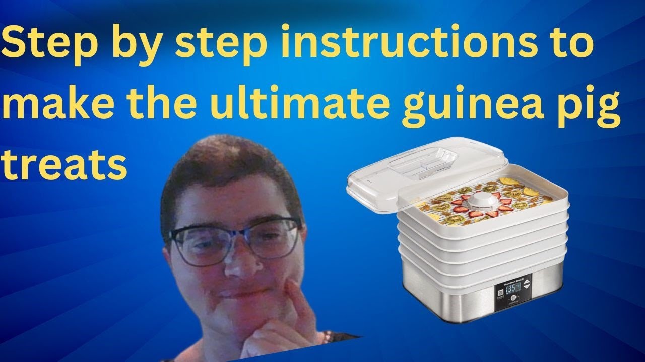 Homemade Guinea Pig Treats: A Step-by-Step Guide - YouTube