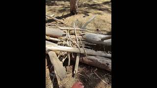 Yowies - subscribe, like, share - super viral!!!
