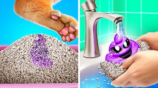 I Found This In Cat Litter Box  *Best Gadget And Craft Gifts For My Kitten's Birthday*