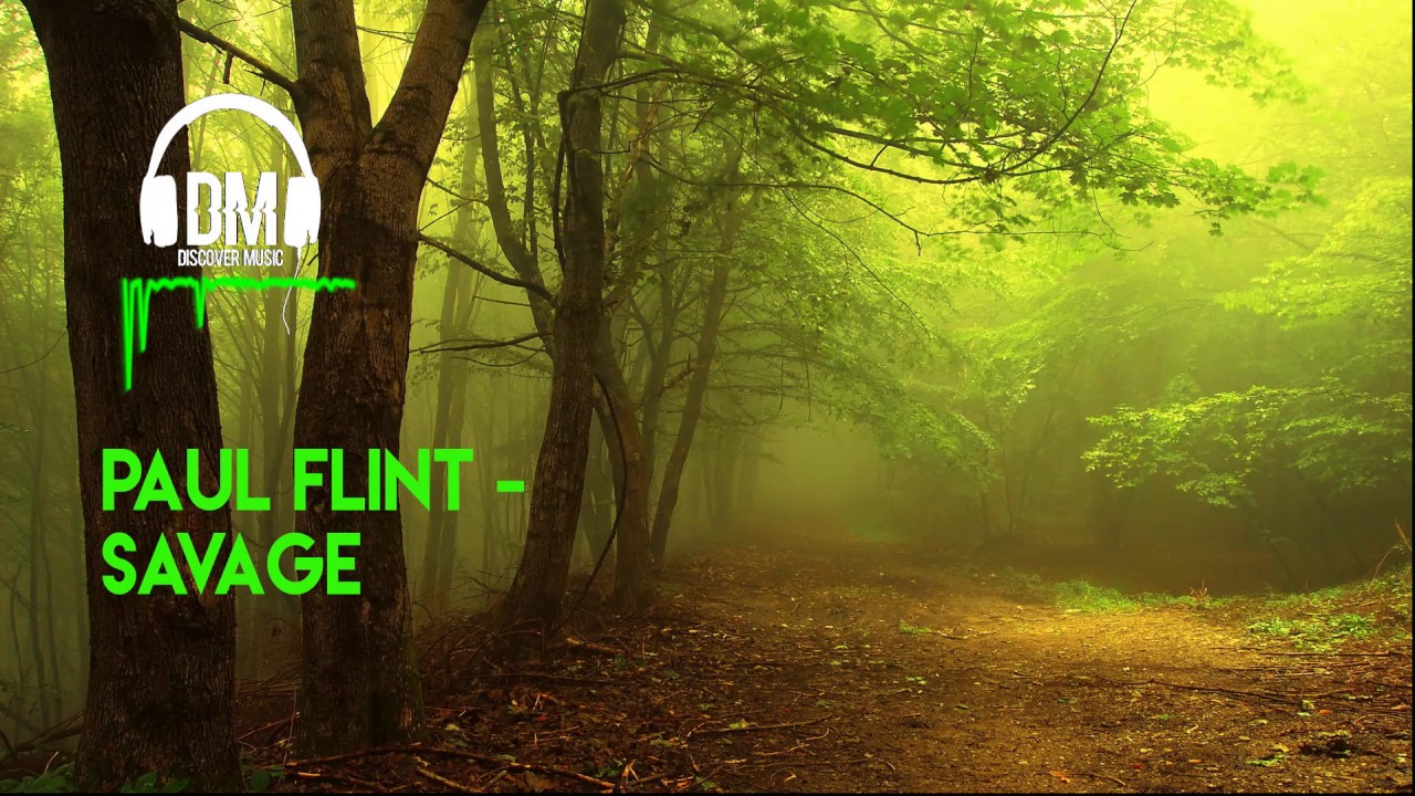 Paul Flint -Savage [Discover Music]