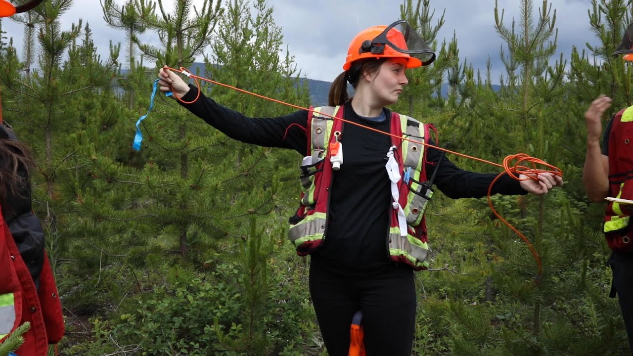 Developing our Future Leaders – BC Timber Sales Forest Technologist Entry Level Program