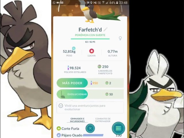 Como evoluir Farfetch'd para Sirfetch'd em Pokémon GO – Tecnoblog