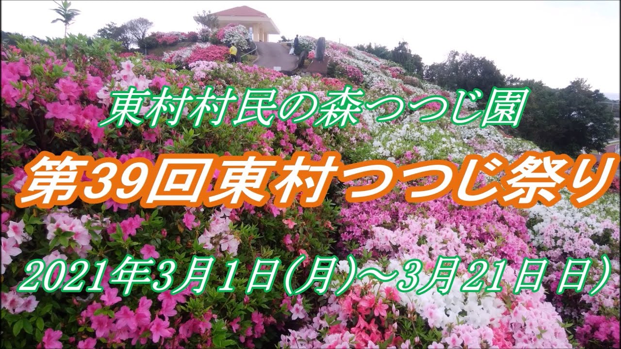 第39回 東村つつじ祭り 21 3月 東村村民の森つつじ園 Covid 19 Youtube
