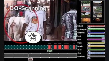Dynamic Object Scanning: Object-Based Elastic Timeline for Quickly Browsing First-Person Videos