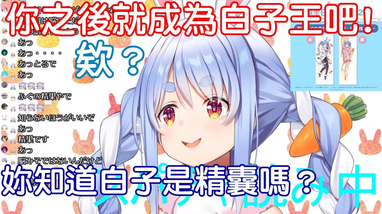 【Hololive中文】古有獅子王今有白子王！世界巨兔任命台灣觀眾為王！【兔田佩克拉】