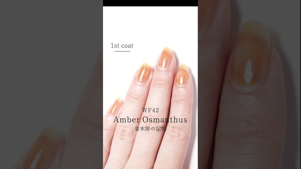 HOMEI ウィークリージェル WF42 Amber Osmanthus (アンバーオスマン