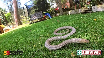 How to use the SURVIVAL Snake Bite KIT