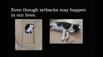 2019/2020 QL+ Student Video:  141a1b USF Horse Simulator, University of South Florida