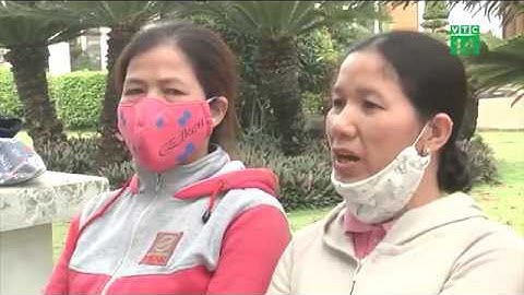 VTC14 | Nghịch lý thưởng Tết