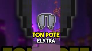 When Your Friend Discovers Elytras..