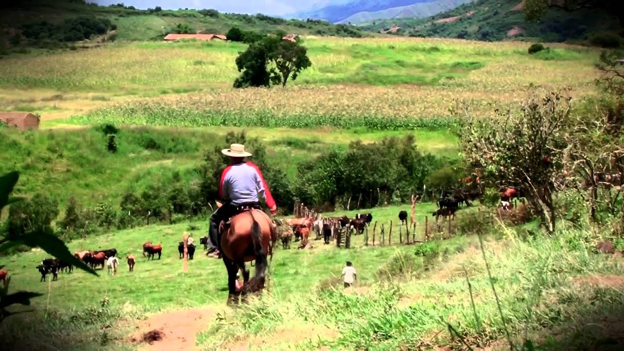 ROMANCEROS Tiempos de carnaval (Tonada-Cacharpaya)