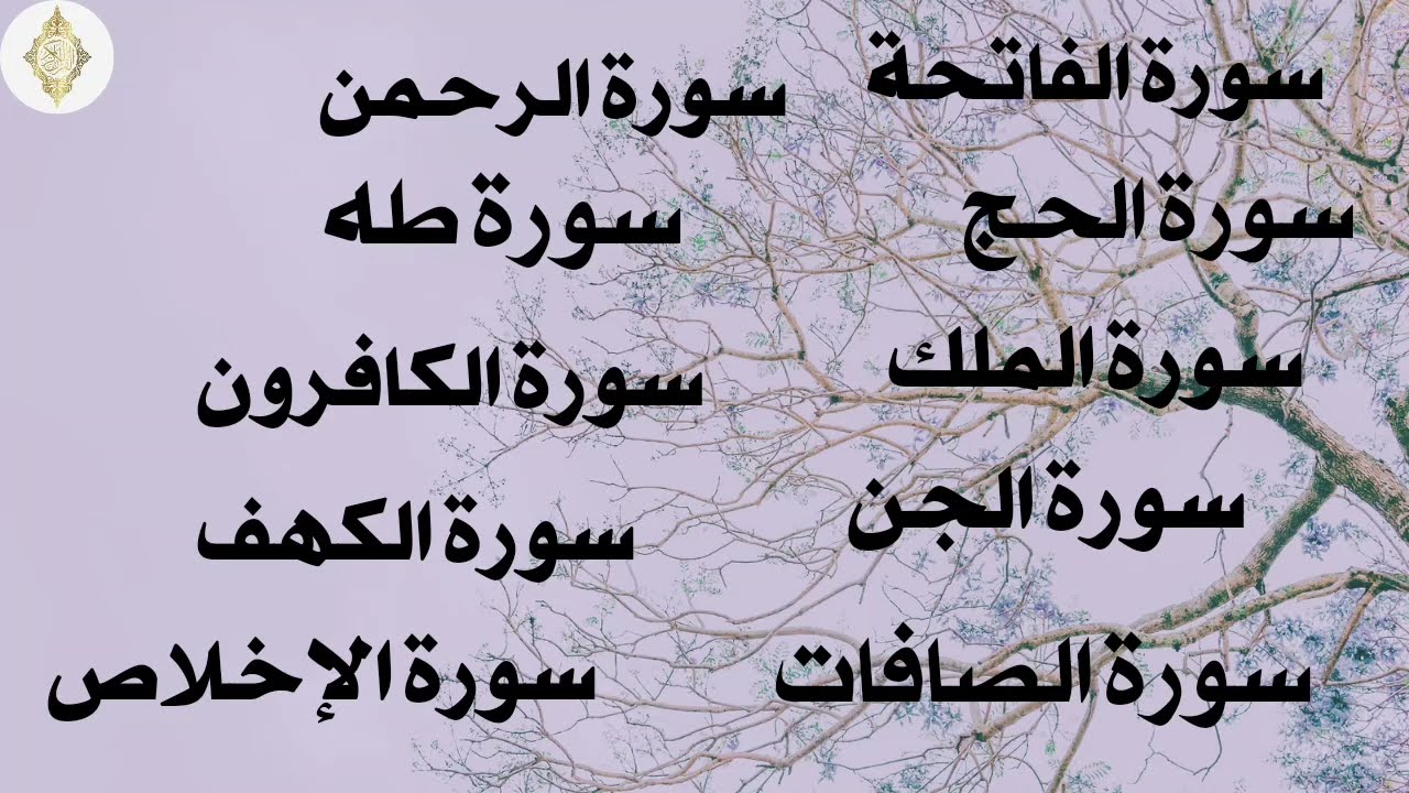 سورة الفاتحة و الكافرون والإخلاص_سورة الكهف والحج والملك سورة الجن والرحمن سورة طه و الصافات