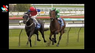 Play video: SAVABEEL SPRING CHAMPION 2004