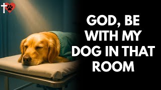 Prayer for Your Dog’s Surgery – Ask God to Guide and Protect – prayer for dog Surgery Prayer Invite God S Presence Into The Operating Room
