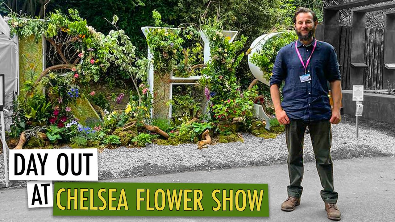 Chelsea Flower Show (with Will Kirk)