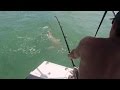 Florida Keys Birthday Fishing (Sharks, Snapper, Barracudas and Jacks)