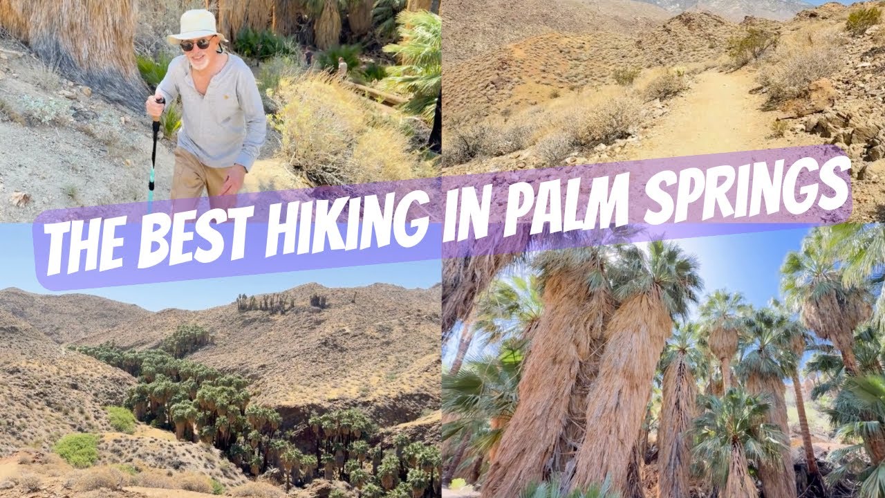 Things to do in Palm Springs 🌴 Hike the Palm Canyon Trail and the Victor Trail in the Indian Canyons
