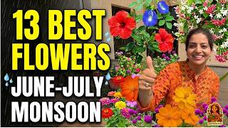 13 Best Flowers for June and July: Monsoon Flower Garden India 🌸🌧️