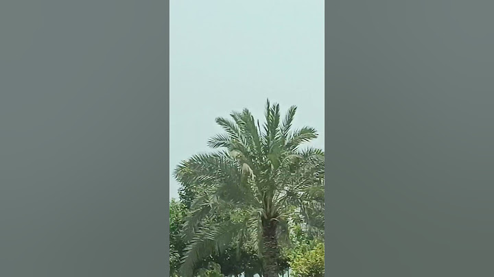 absolutely beautiful garden of Bahrain 😍😍😍😍