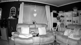#haunted  living room camera  #manifestations  # spirits  @debrafinneyspiritorbs  #orbs daily