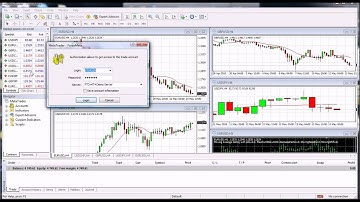 No Connection ForexMeta