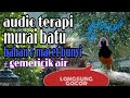 Suara Terapi Burung Murai Batu Bahan Macet Bunyi Gemericik Air Mp3 - Mp4 Download