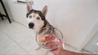 Surprising My Husky With His First Raw Soup Ever! Asmr