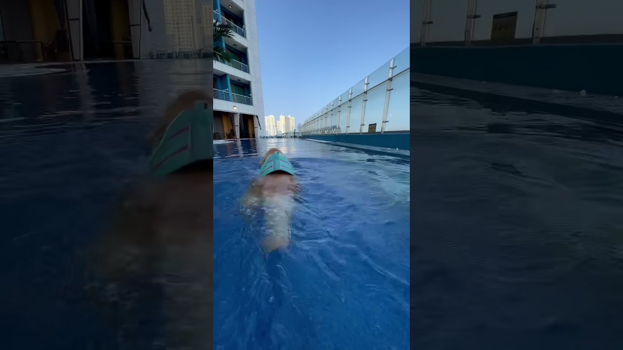 [보리TV] 강아지호텔 온수풀장에서 수영하기 / SL호텔 강릉 / 멍비치 / dog swimming pool / 골든리트리버 Golden Retriever