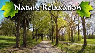 🍁 Nature Relaxation - Spring Time
Music: Serenity (http://audionautix.com) 🍁 Nature Relaxation - Spring Time
