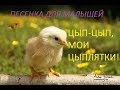 Цып цып, мои цыплятки - Веселая детская песенка на русском языке