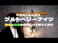マカロニえんぴつ『ブルーベリー・ナイツ』を果物と野菜の名前だけで歌ってみた