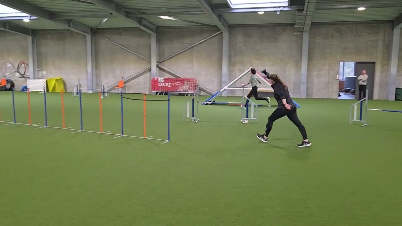 Seminar Mona Grefenstein Jan. 26