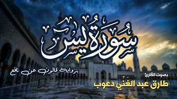 تلاوة مرتبة لسورة يس كاملة بصوت القارئ طارق دعوب - Surah Yasin Tariq Daawob