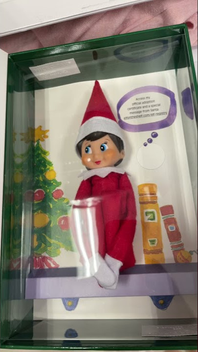 Elf on shelf Blue Eye Girl W/ Book