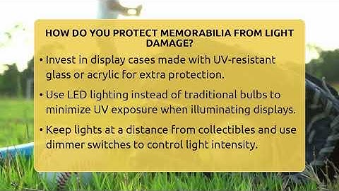 How Do You Protect Memorabilia From Light Damage? - The Memorabilia Zone