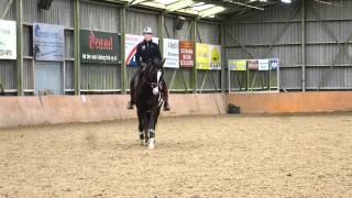 Download Lagu Les Herman Wientjes feb 2016 MP3