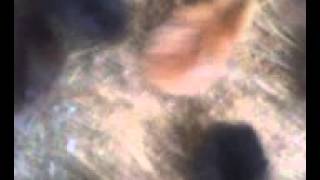 VID 20150707 133801