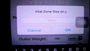 Zero Rifle at Point Blank Range