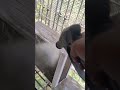 JET SERVICE SPLI AC AND OUT DOOR