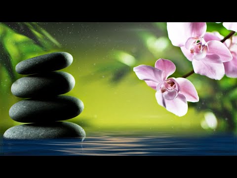 Meditation Music - Whole Body Regeneration - Physical, Emotional, Mental and Spiritual Healing