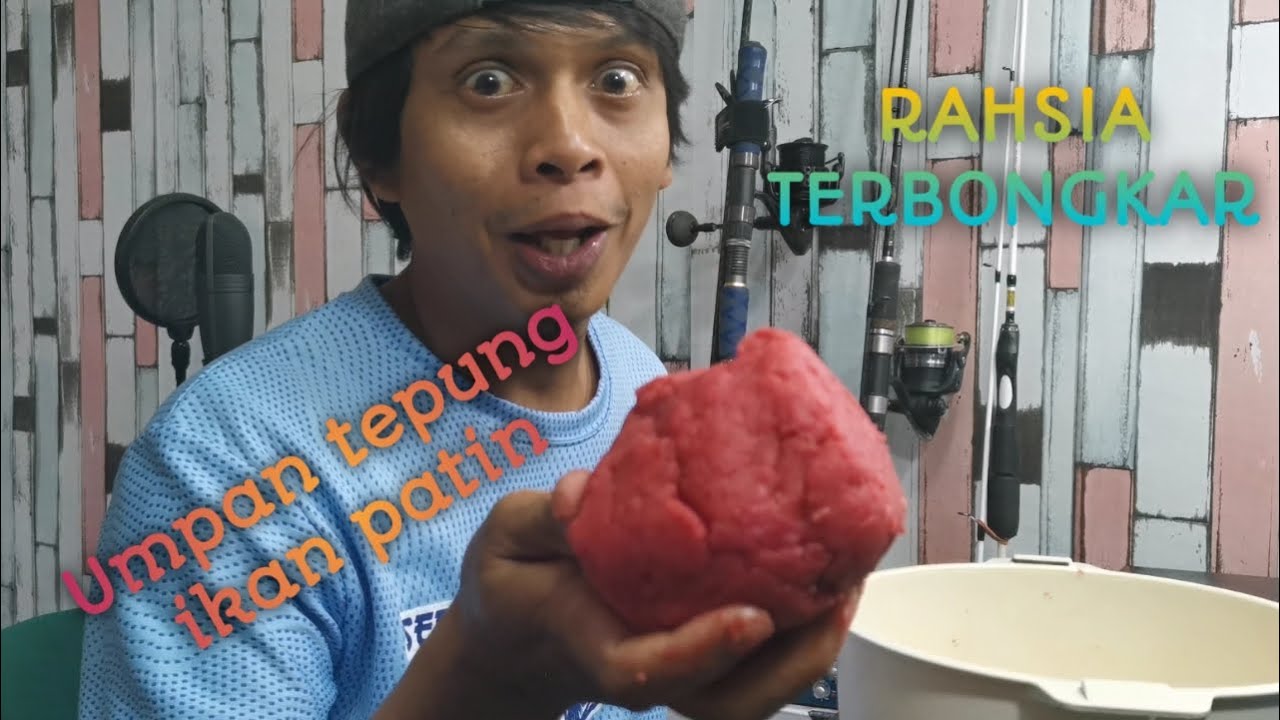 Umpan Tepung Untuk ikan Patin Besar Quality HD