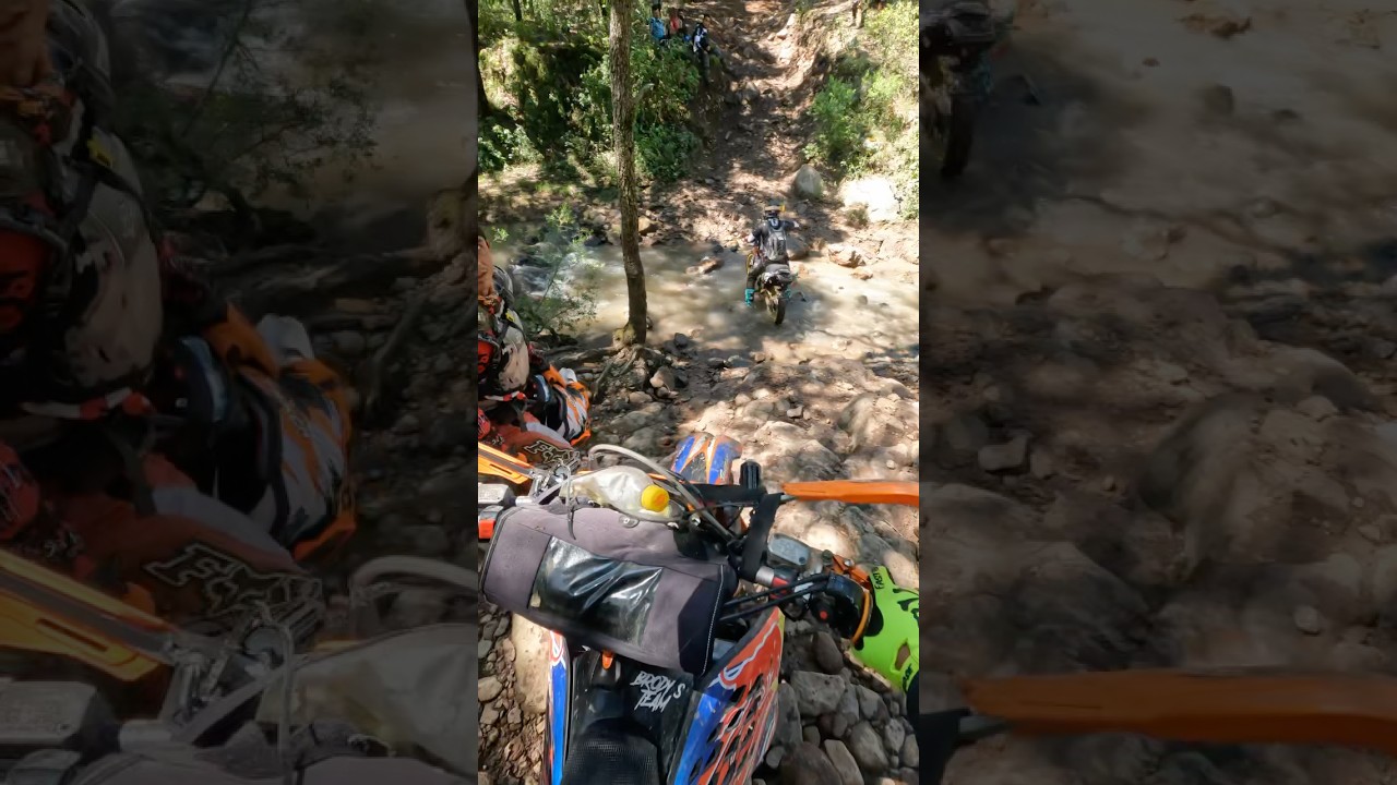 Brody’s Team Anniversary 🚶🏽 B7 