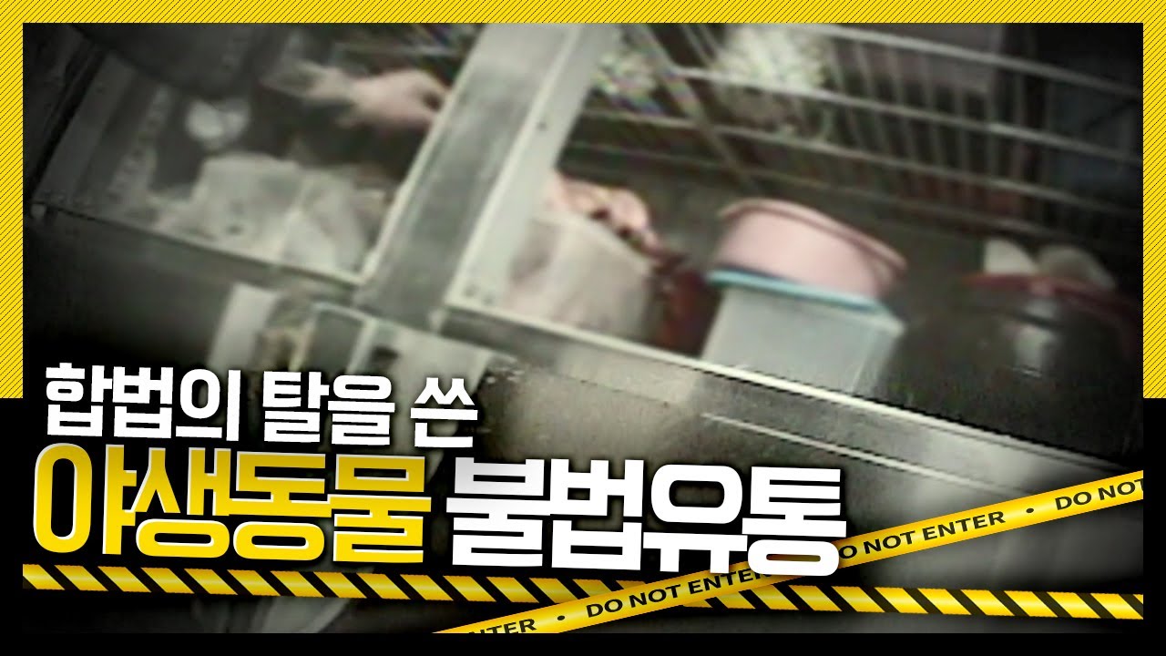 [호루라기] 합법의 탈을 쓴 야생동물 불법 유통 KBS 120126 방송