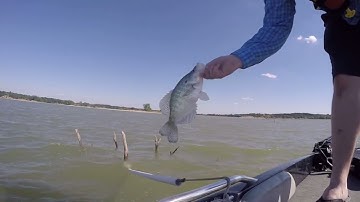 Post-Spawn Crappie Fishing