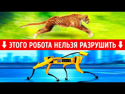 10 удивительных реальных роботов, созданных по образу животных