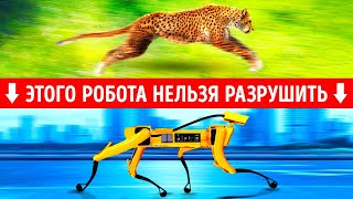 10 удивительных реальных роботов, созданных по образу животных