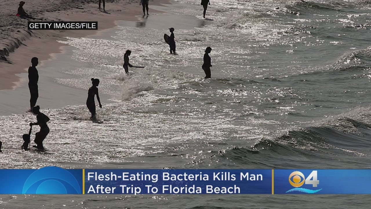 FleshEating Bacteria Kills Man After Trip To Florida Beach YouTube